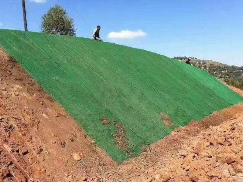 三維植被網施工